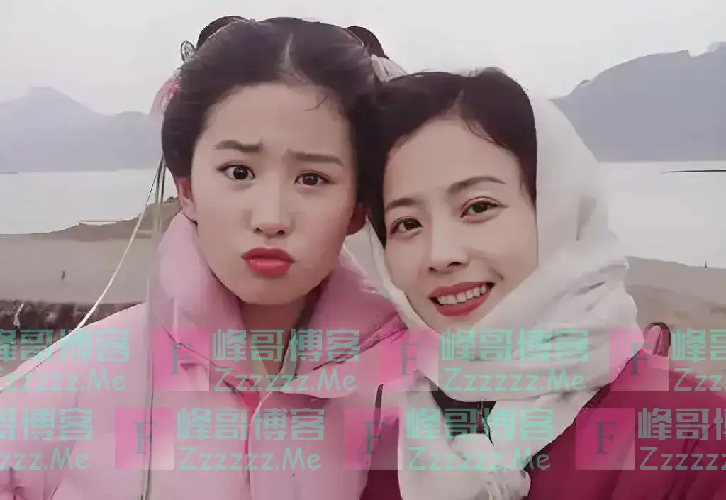 02年的刘亦菲，手持1.6万索尼电脑，背后的水果堆我至今也吃不起