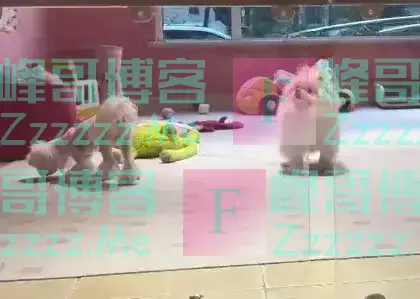 一天跑9家，男子直呼：比上班赚多了！律师提醒→