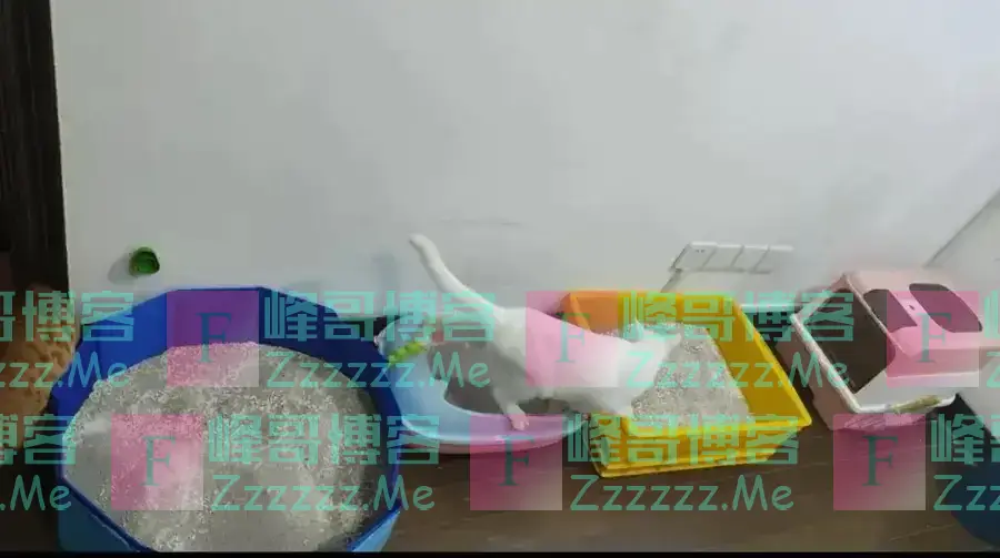 一天跑9家，男子直呼：比上班赚多了！律师提醒→