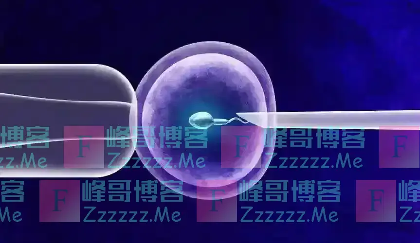 著名专家预言:试管婴儿寿命仅40年,我国首例试管婴儿如今怎样?