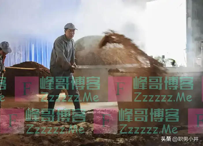 大量美国游客涌入中国，目的不是为旅游，竟是看上了我国的白酒？