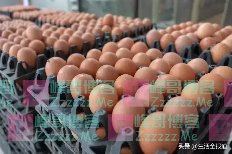 人造鸡蛋泛滥,成本只要1毛钱?该如何分辨?四种鸡蛋劝你少吃