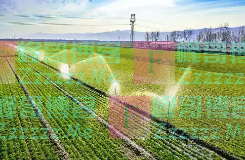 权威解读！中央一号文件释放五大信号