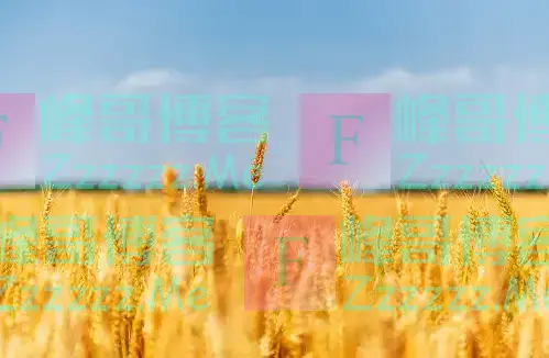 权威解读！中央一号文件释放五大信号