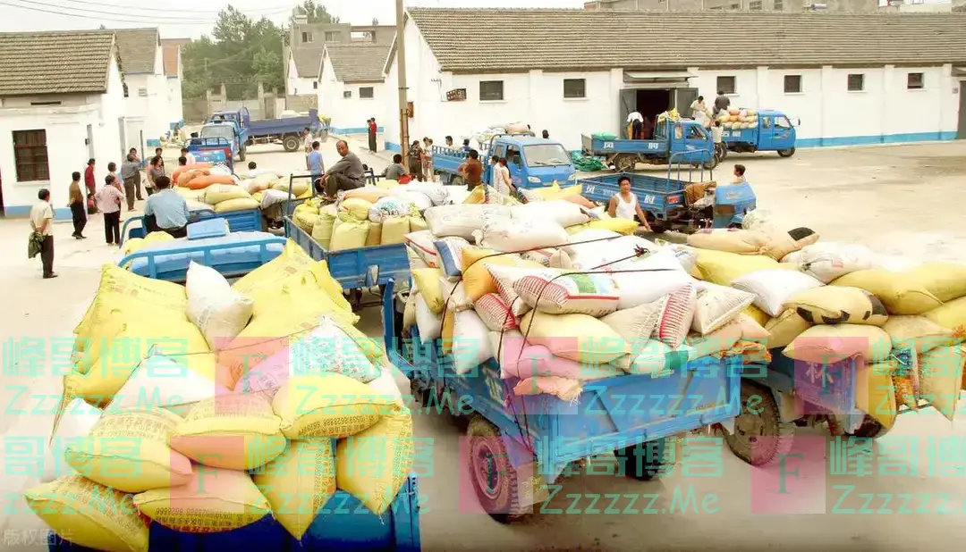 公粮没白交！1949-1979年交过公粮的2025起养老金加每月800？真吗