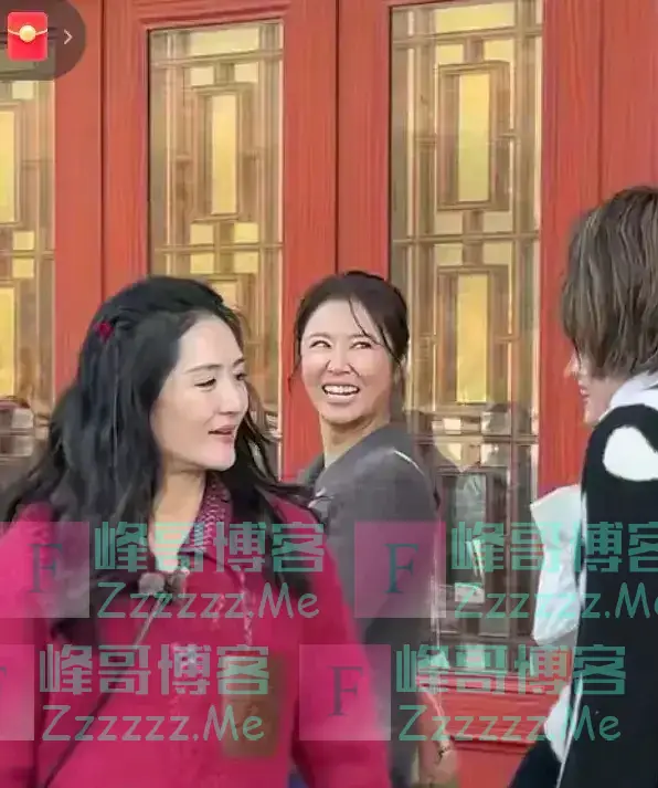 这才是自然状态下的林心如和谢娜，网友：看到她们我不焦虑了