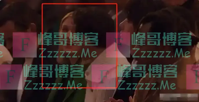 巴黎这一夜,33岁肖战撞上27岁王一博,才懂医美脸有多残酷