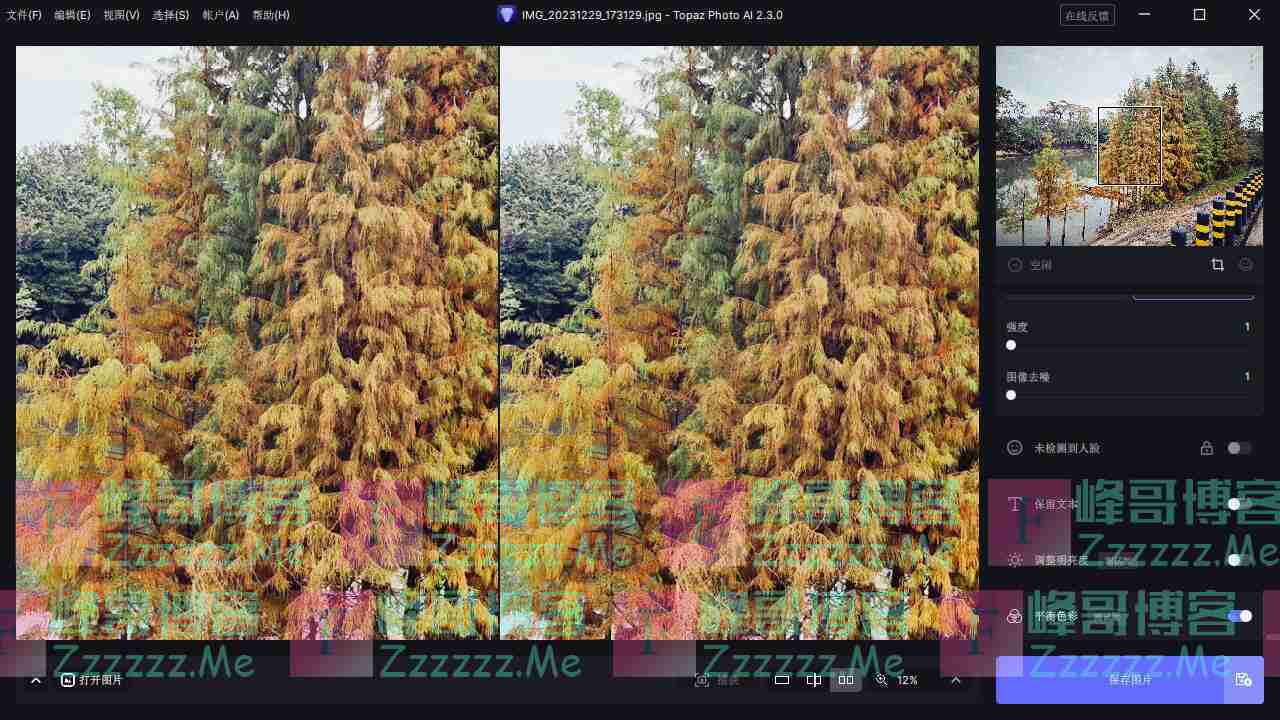 TopazPhotoAI照片编辑V2.3.0 TopazPhotoAI中文汉化高级破解版下载